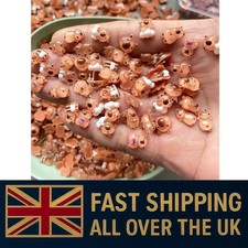 100pcs Mini Animal Capybara