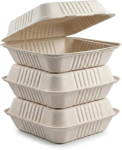 Ciavar bagasse burger boxes - bagasse,