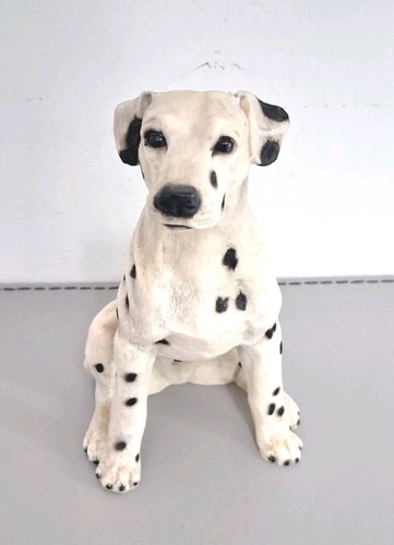 Castagna italy dalmatian dog - dalmatian,