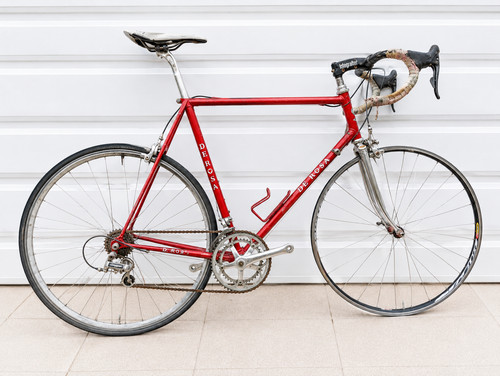 Rosa vintage steel road - de,
