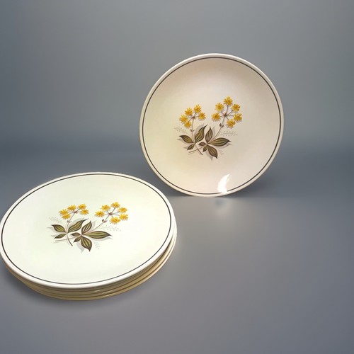 Vintage burleigh ware - burleigh, floral