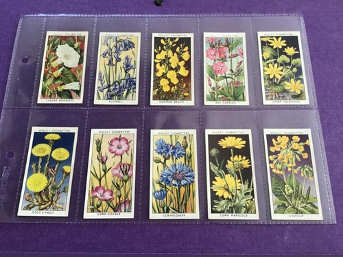 Wild flowers series - wild,