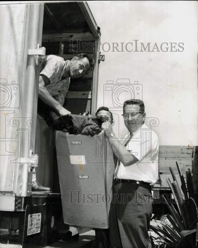 1961 press photo - 1961,