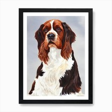 Sussex spaniel watercolour - spaniel, 2