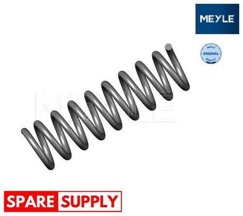 Coil spring for mercedes - coil, mercedes-benz