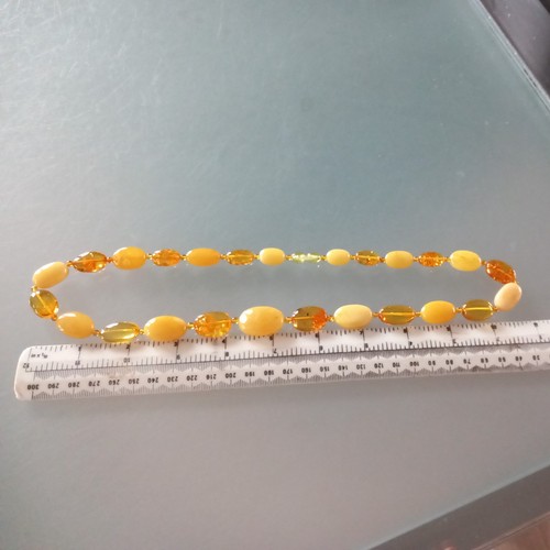 Vintage baltic amber egg yolk - baltic,