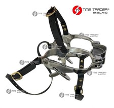 Equine Horse Dental pony Mouth