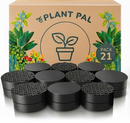 Plant pal invisible pot - plant, feet