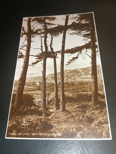 General view the pines lyme - view, &