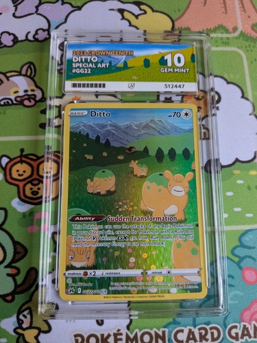 Pokémon tcg ditto - pokémon,
