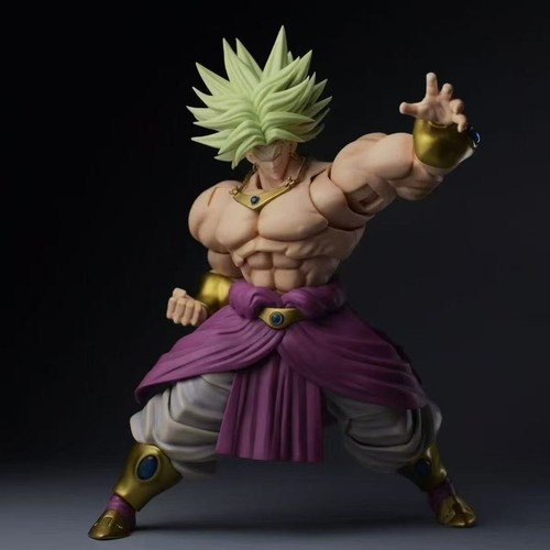 Studio broly warrior - zt,