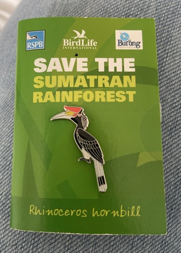 Rspb rhinoceros hornbill - rspb,