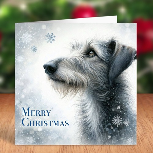 Scottish deerhound dog - deerhound,
