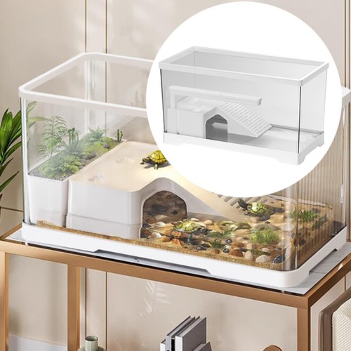 Turtle tank aquarium - turtle,