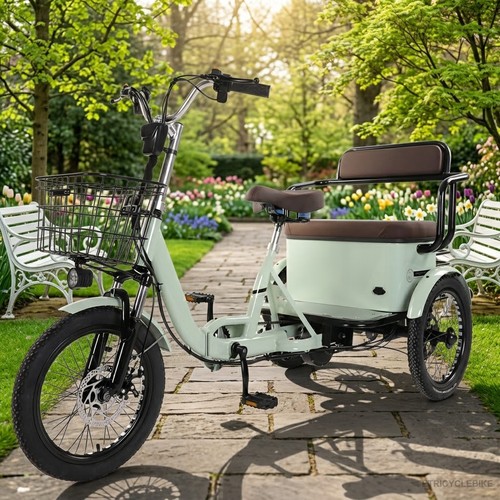 Senior electric tricycle - senior,