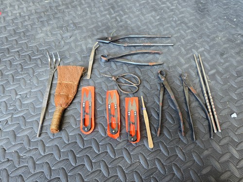 Assorted bonsai tools - tools., good