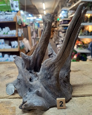 Small/Medium Corbo Root