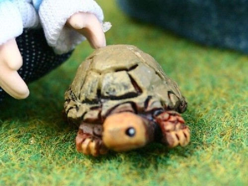 Turtle tortoise miniature - turtle,,