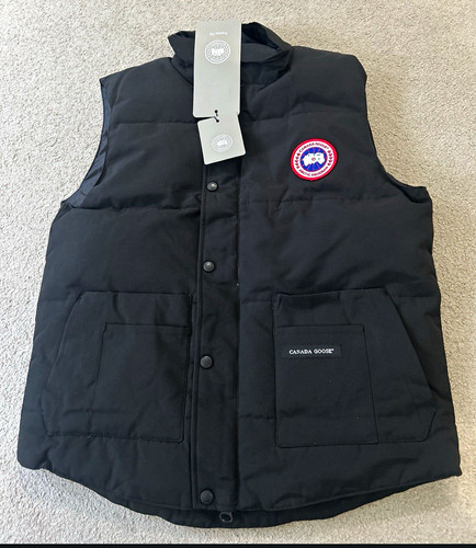 Canada goose expedition - goose,
