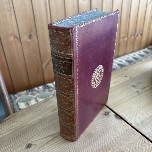 1905 gilbert white - :, natural