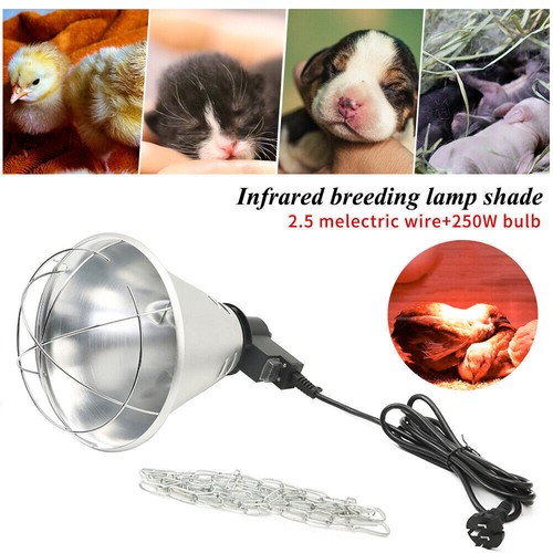 250w infrared heating lamp - infrared,
