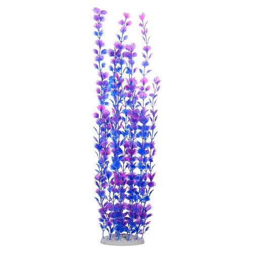 Pack tall aquarium plants - 1-pack,