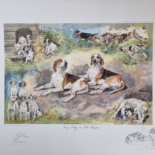Gillian harris signed ltd - gillian,