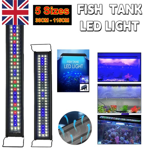 Aquarium fish tank - fish, light