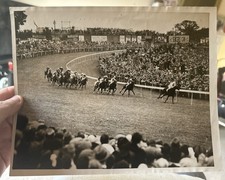 Original Vintage 10x8 Horse