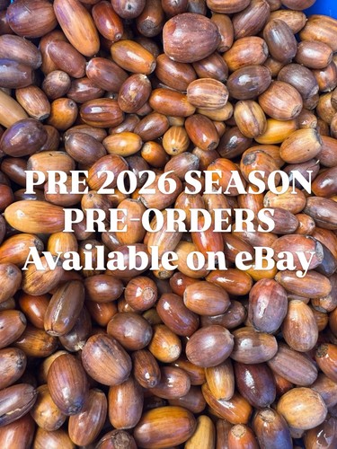 Season pre order fresh - *season, pre-order*