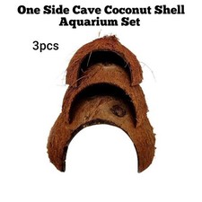 Coconut Shell 3pcs One Side