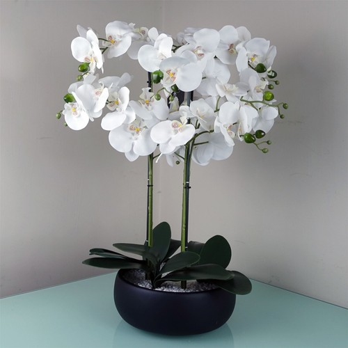 Artificial white orchid - artificial, in