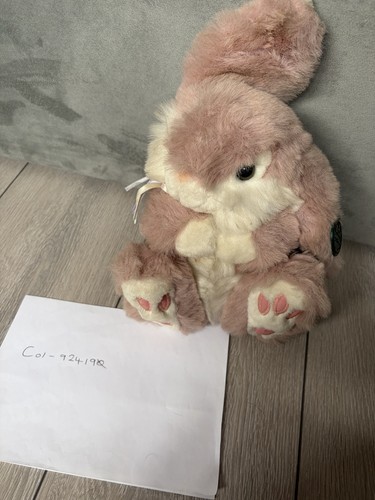 Quality product bunny - d.s.n.,
