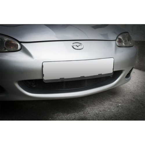 Front radiator grille black