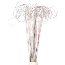 30 Pcs Glitter Dried Curly Willow Branches Natural Branches Twigs, White