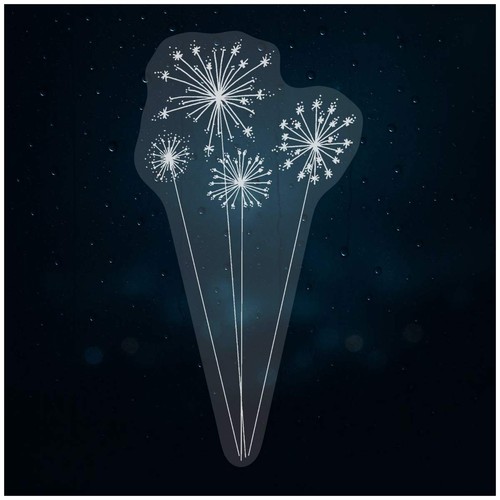 Dandelion clocks static - 'dandelion,