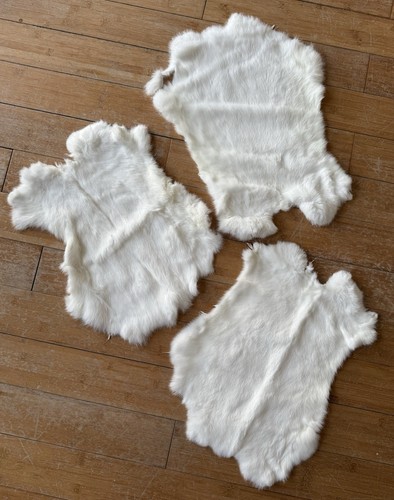 English rabbit fur white - rabbit,