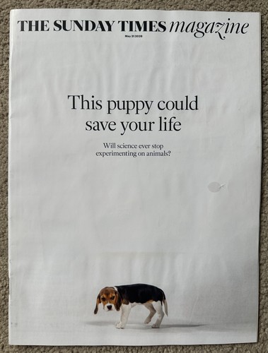 The sunday times magazine 31st - the,
