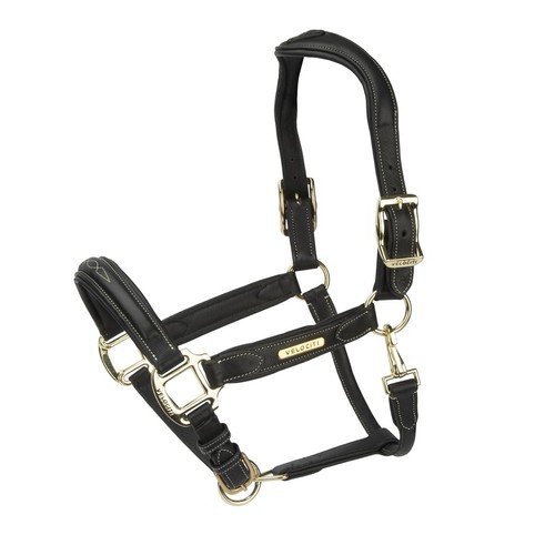 Shires velociti rapida comfort - shires,