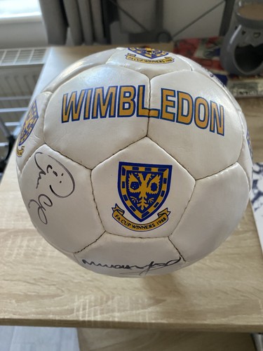 Wimbledon squad signed - wimbledon,