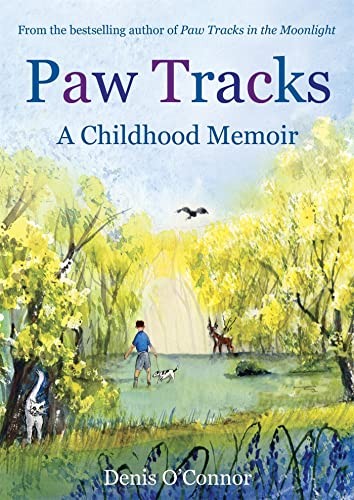 Paw tracks childhood - paw, tracks: