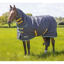Shires Tempest Original 300 Combo Turnout Rug - Black | Equestrian