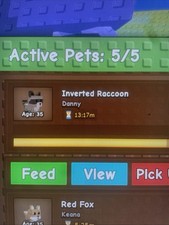 INVERTED RACOON NEED GONE ASAP