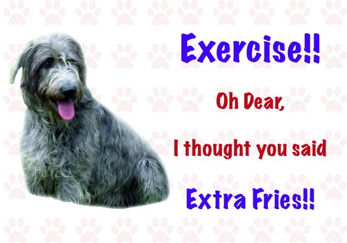 Funny wolfhound dog - funny,