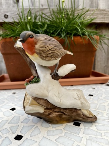 Cabrelli italy robin bird - robin,
