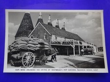 Hops being Unloaded at Whitbread's Hop Gardens, Paddock Wood, Kent, RP
