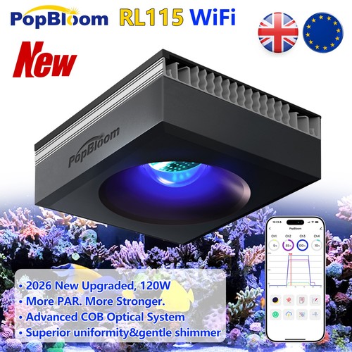 Popbloom new rl115 - rl115, wifi
