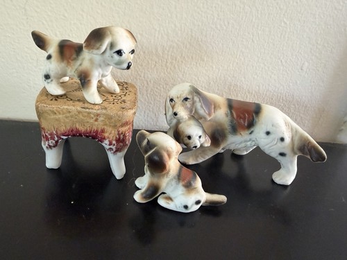 Vintage lot english setter - lot,