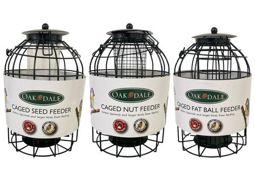 Oakdale squirrel proof wild - squirrel,