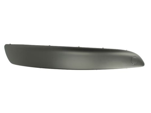 New trim protective strip - new, trim/protective